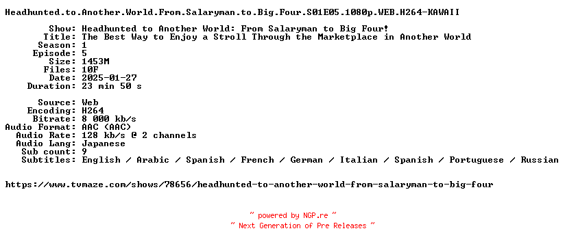 NFO for the release Headhunted.to.Another.World.From.Salaryman.to.Big.Four.S01E05.1080p.WEB.H264-KAWAII by KAWAII