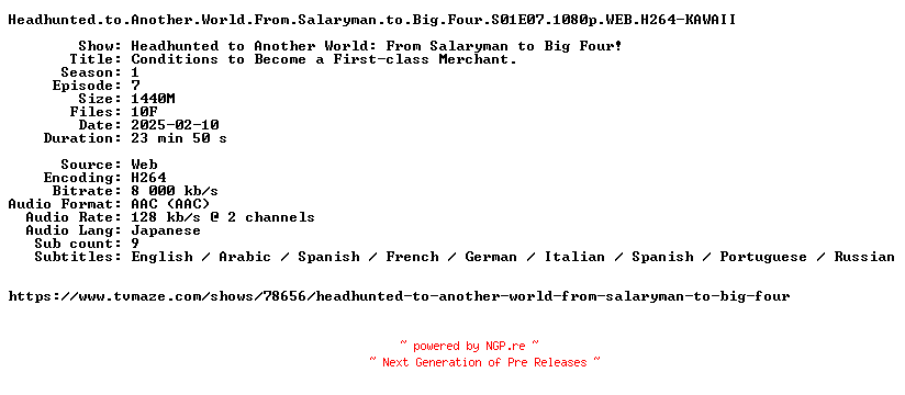 NFO for the release Headhunted.to.Another.World.From.Salaryman.to.Big.Four.S01E07.1080p.WEB.H264-KAWAII by KAWAII
