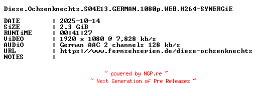 NFO for the release Diese.Ochsenknechts.S04E13.GERMAN.1080p.WEB.H264-SYNERGiE by SYNERGiE