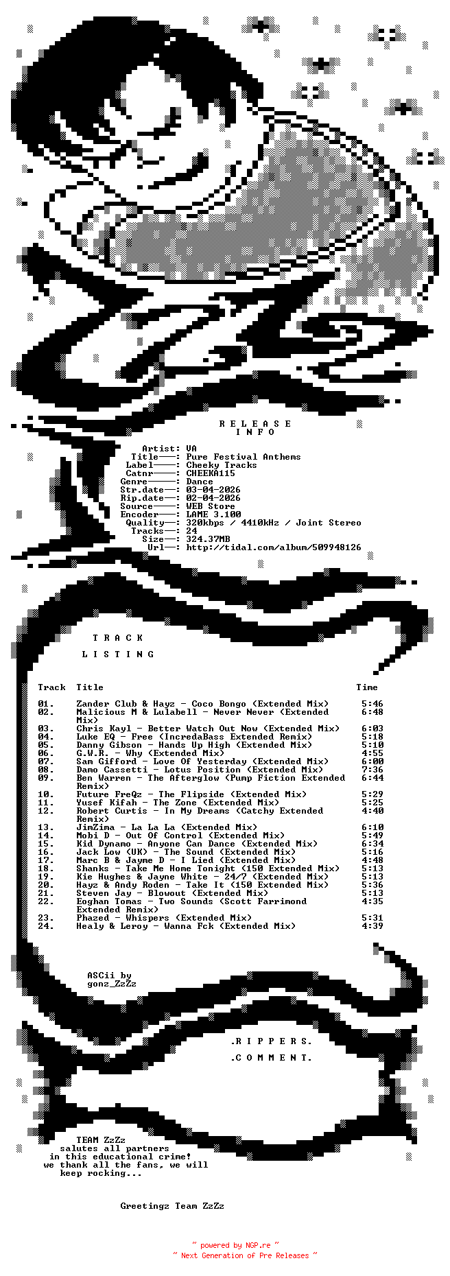 NFO for the release VA_-_Pure_Festival_Anthems-(CHEEKA115)-WEB-2026-ZzZz by ZzZz