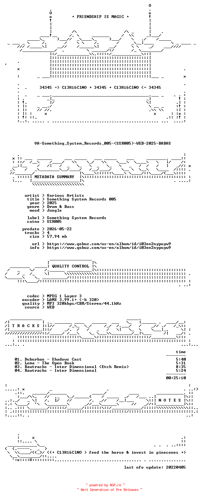 NFO for the release VA-Something_System_Records_005-(SSR005)-WEB-2025-BABAS by BABAS