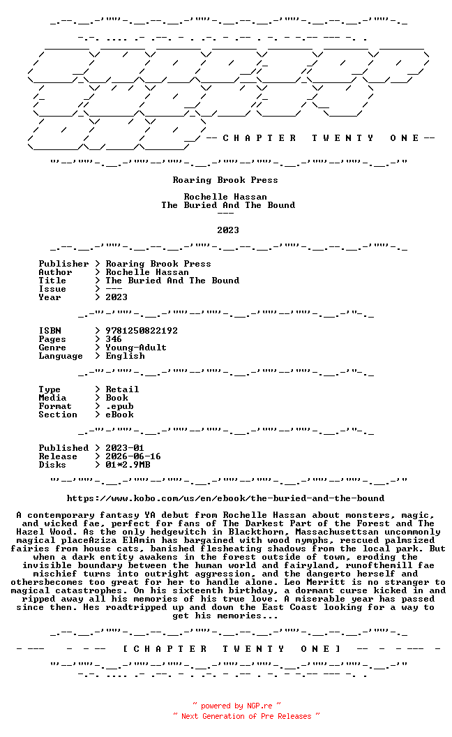 NFO for the release Rochelle.Hassan.-.The.Buried.And.The.Bound.2023.RETAIL.EPUB.eBook-CTO by CTO