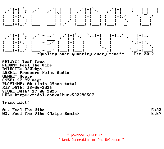 NFO for the release Tuff_Trax-Feel_The_Vibe-(PPAD026)-WEB-2026-BB by BB