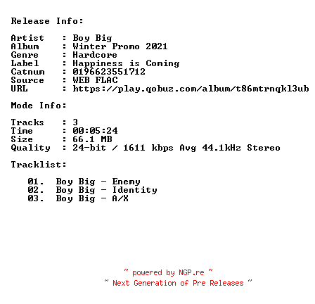 NFO for the release Boy_Big-Winter_Promo_2021-24BIT-44KHZ-WEB-FLAC-2021-CBR by CBR