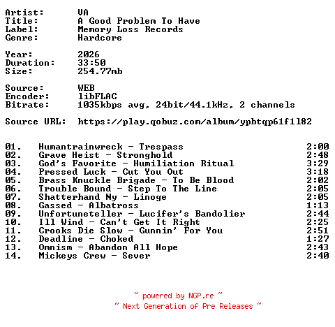 NFO for the release VA-A_Good_Problem_To_Have-24BIT-WEB-FLAC-2026-VEXED by VEXED