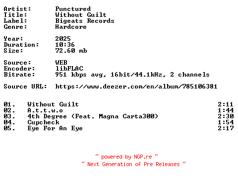 NFO for the release Punctured-Without_Guilt-16BIT-WEB-FLAC-2025-VEXED by VEXED