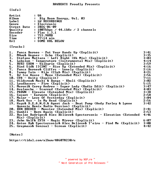 NFO for the release VA-Big_Room_Energy_Vol._03-16BIT-WEB-FLAC-2026-RAWBEATS by RAWBEATS