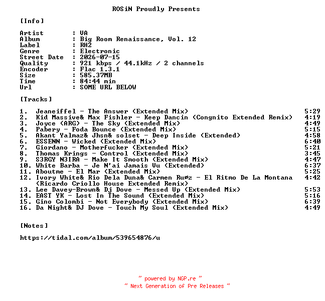 NFO for the release VA-Big_Room_Renaissance_Vol._12-16BIT-WEB-FLAC-2026-ROSiN by ROSiN