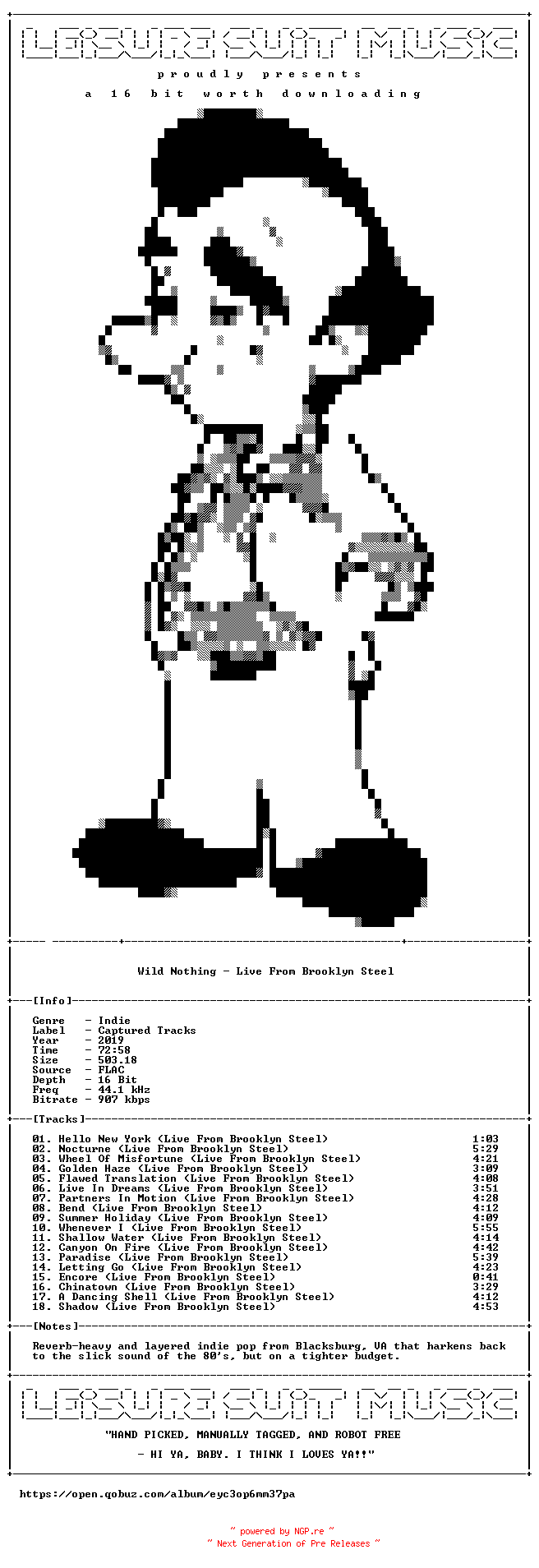 NFO for the release Wild_Nothing-Live_From_Brooklyn_Steel-16BIT-WEB-FLAC-2019-LSM by LSM