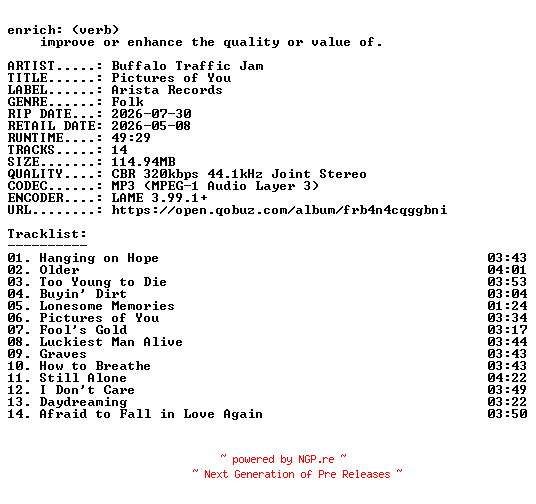 NFO for the release Buffalo_Traffic_Jam-Pictures_of_You-WEB-2026-ENRiCH by ENRiCH