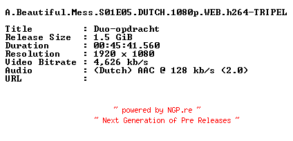 NFO for the release A.Beautiful.Mess.S01E05.DUTCH.1080p.WEB.h264-TRIPEL by TRIPEL