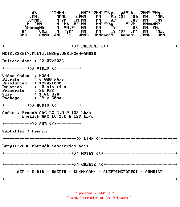 NFO for the release NCIS.S23E17.MULTi.1080p.WEB.H264-AMB3R by AMB3R