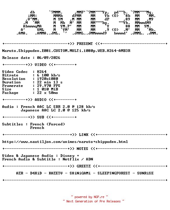 NFO for the release Naruto.Shippuden.E081.CUSTOM.MULTi.1080p.WEB.H264-AMB3R by AMB3R