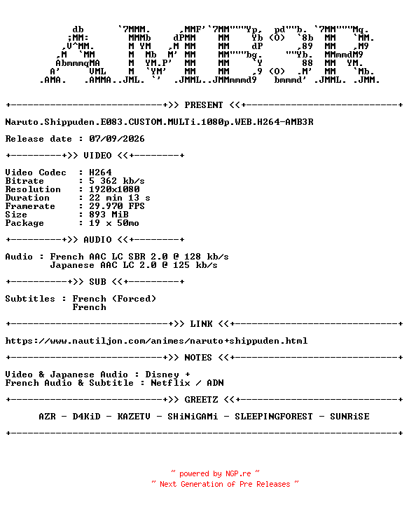 NFO for the release Naruto.Shippuden.E083.CUSTOM.MULTi.1080p.WEB.H264-AMB3R by AMB3R