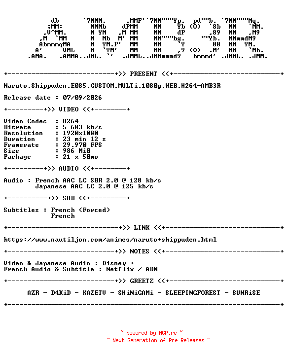 NFO for the release Naruto.Shippuden.E085.CUSTOM.MULTi.1080p.WEB.H264-AMB3R by AMB3R