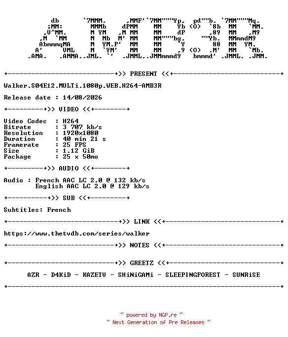 NFO for the release Walker.S04E12.MULTi.1080p.WEB.H264-AMB3R by AMB3R
