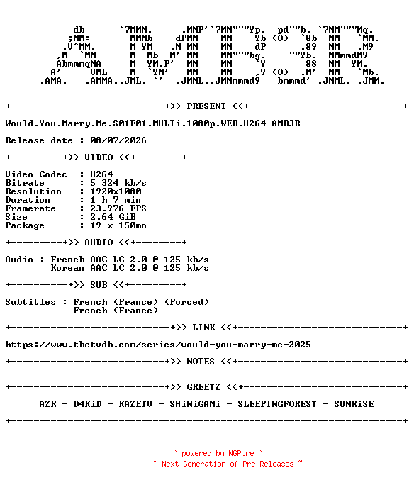 NFO for the release Would.You.Marry.Me.S01E01.MULTi.1080p.WEB.H264-AMB3R by AMB3R